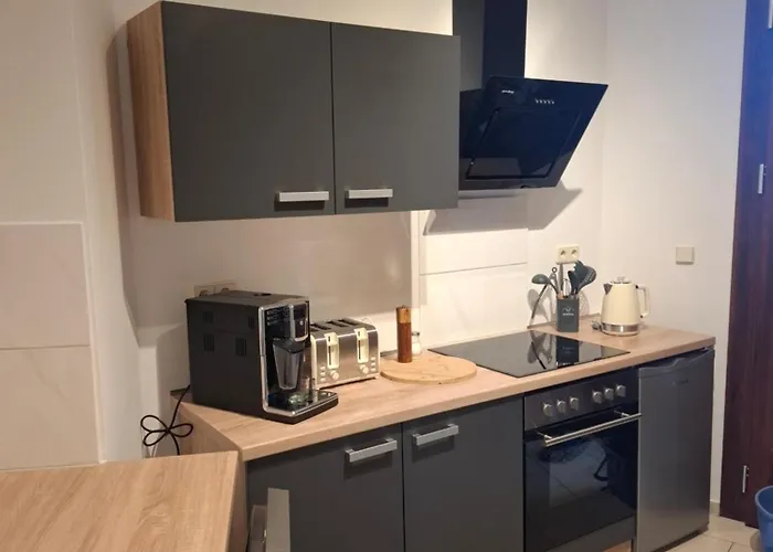 Koebi 91 Apartmán Drážďany