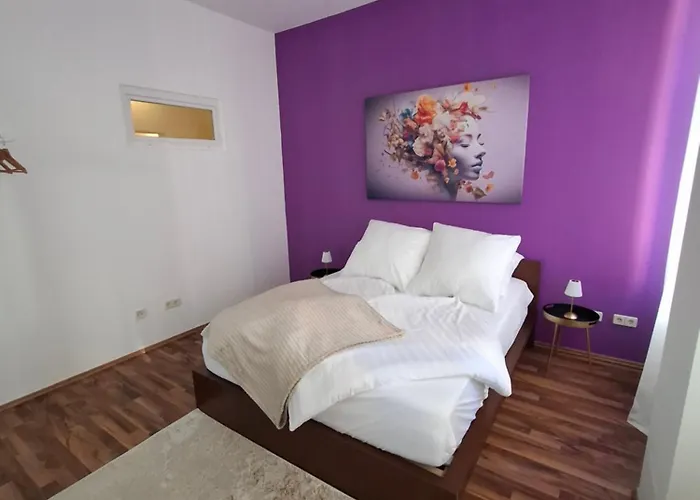 Koebi 91 Drážďany