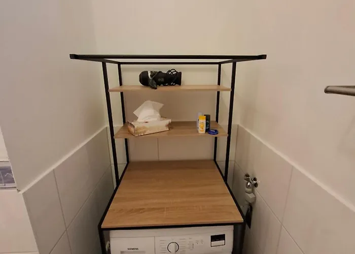 Koebi 91 Drážďany